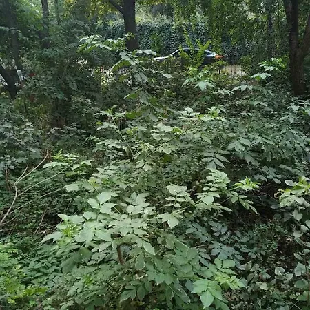 Portal 公寓